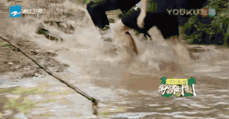 《美味猎手》要做综艺界的“诗与远方”?