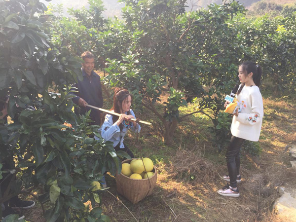 探秘《苏先生寻鲜记》寻鲜之旅:美味生鲜这样