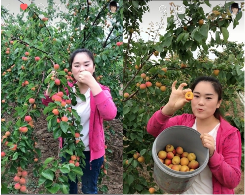水果丰收季 看快手上的新疆西瓜海南芒
