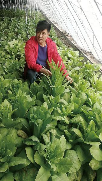 绿色中国评著名歌手张宏声﹕归来型歌手