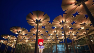 2019北京世园会开园倒计时 泰迪珍藏带你解锁