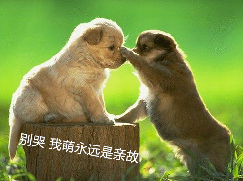 梁静茹献唱《情歌》唱哭了观众 梁静茹献唱《情歌》唱哭了观众