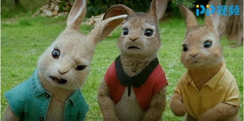 经典IP改编真人动画电影 《彼得兔》定档周末