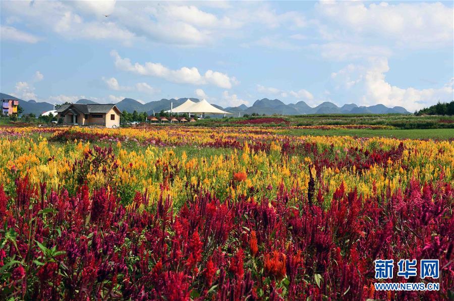 虎牙携手央视推出文化直播节目CCTV主持大咖元元亮相虎牙