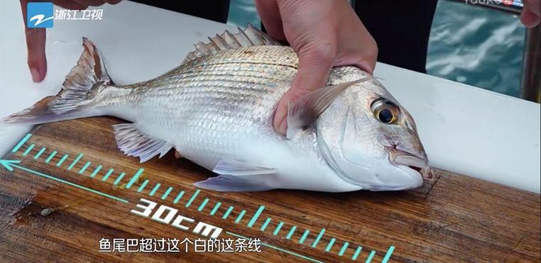 《美味猎手》要做综艺界的“诗与远方”?