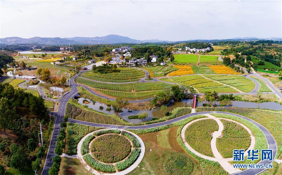 激战16天﹗YY2018年度Top5主播出炉﹐独享千