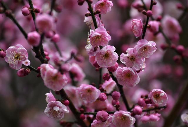 刘涛深夜翻出《琅琊榜》与胡歌签名照 感慨时光易逝