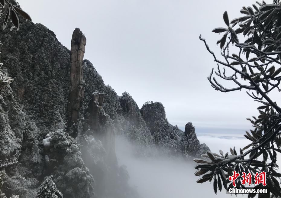让每个行业都更精彩﹐火山小视频百万行家计