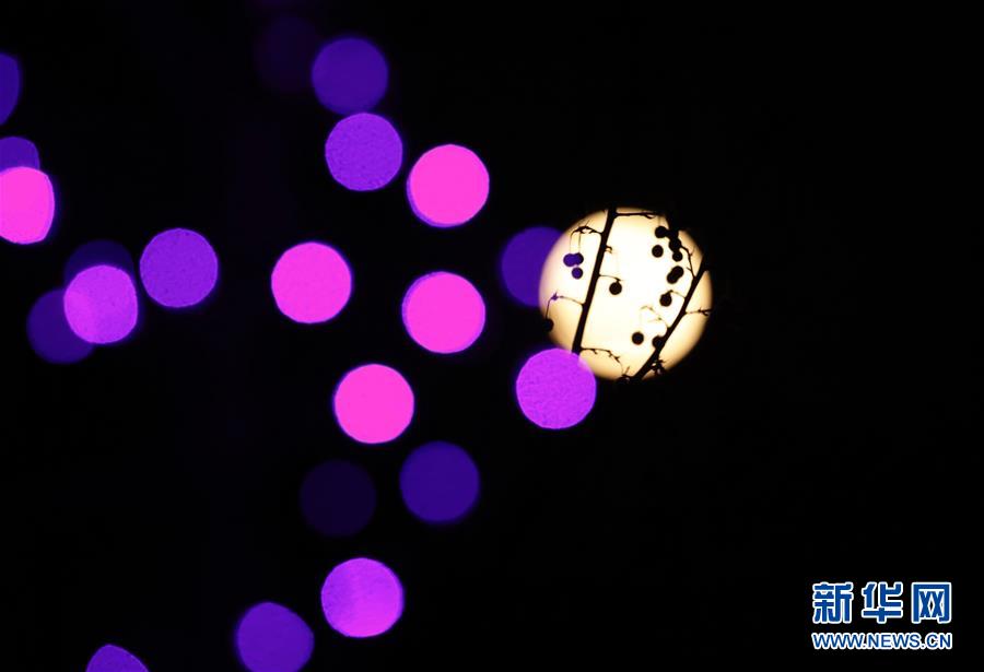 《声入人心》刘彬濠再出击 唱响《春天的芭蕾》