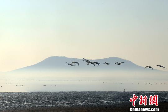 苏泽林获百老汇导演点赞 唯一五A学员将出演《摇滚学校》