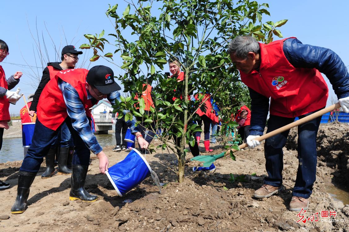 中国文化如何“走出去”(议事厅)