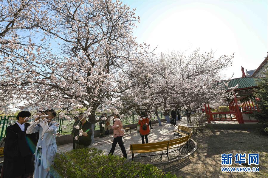 成都音乐盛典·成都ART音乐节 5.3唱响音乐之都