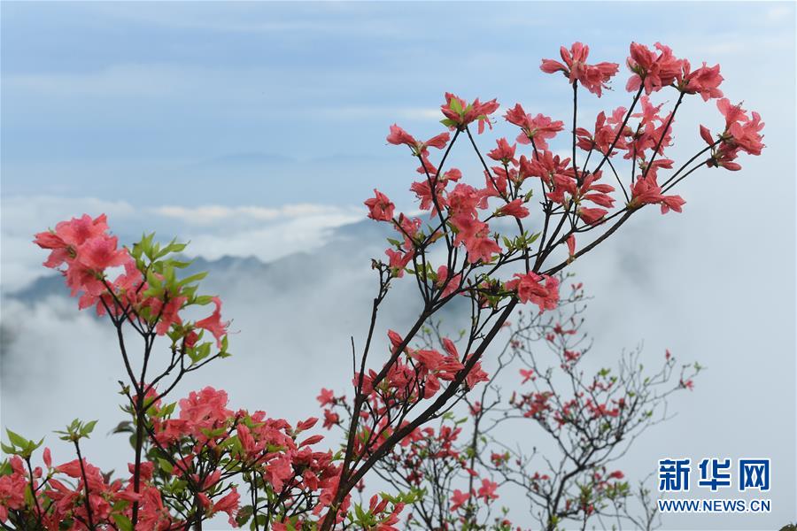 成都音乐盛典·成都ART音乐节 5.3唱响音乐之都