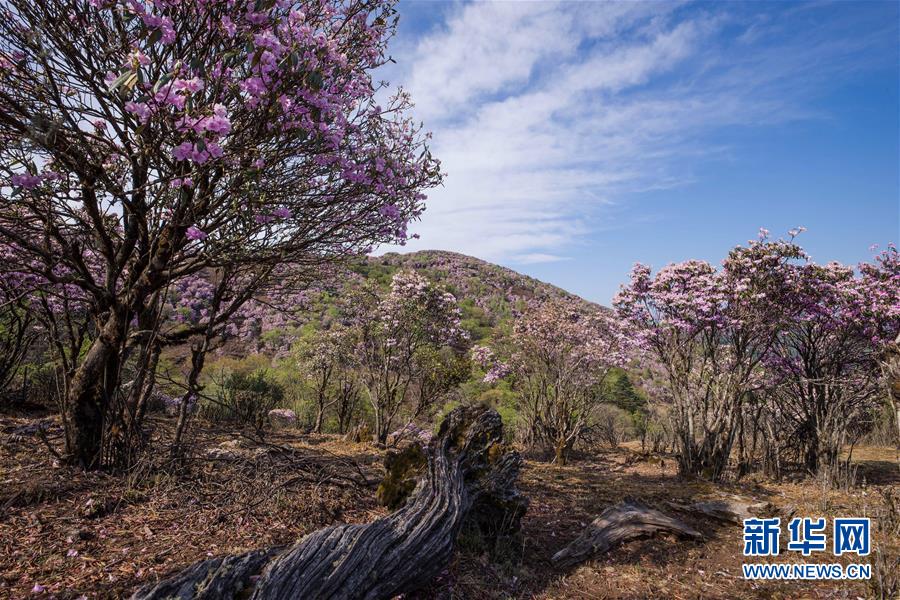 成都音乐盛典·成都ART音乐节 5.3唱响音乐之都