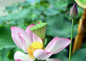 10后萌娃撞脸当红明星 KIDS WORLD晋级赛后就出道？