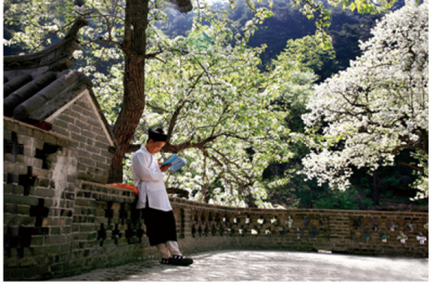千山景区成消费者心目中“治愈系”旅行圣地