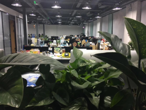 耀江影视─影视传媒行业精致的花朵