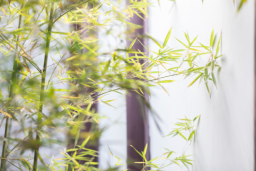 简一邀请你来郦波教授的文化课 共话国学经典 简一邀请你来郦波教授的文化课 共话国学经典
