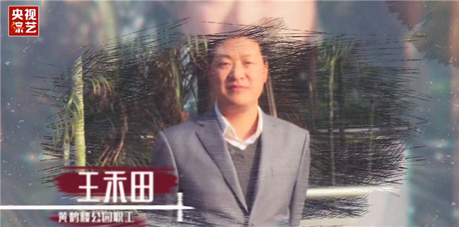 央视综艺暖心推出云制作《呼叫027》 给武汉一个大大的拥抱
