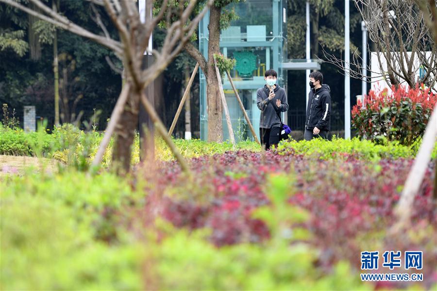 张亚东加盟太合音乐集团