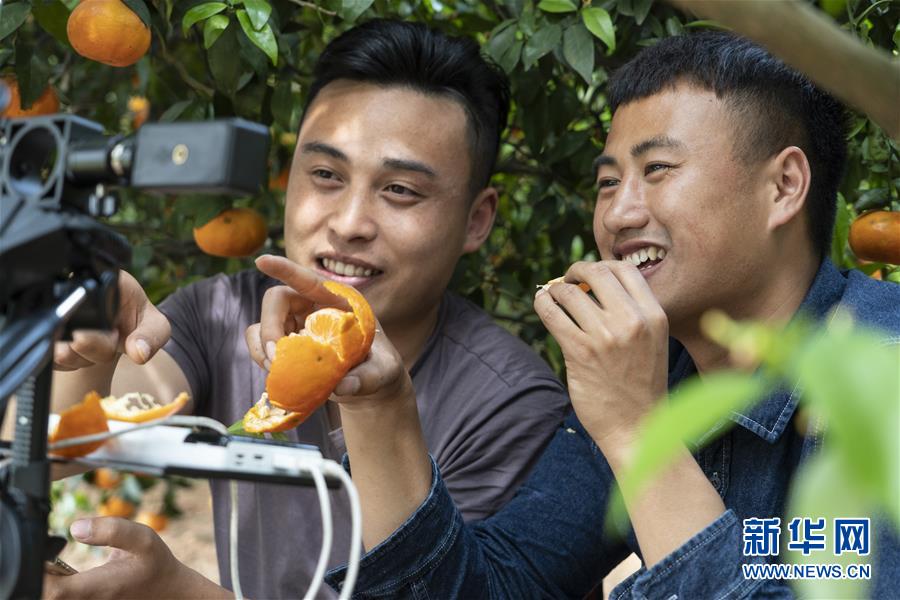 张亚东加盟太合音乐集团