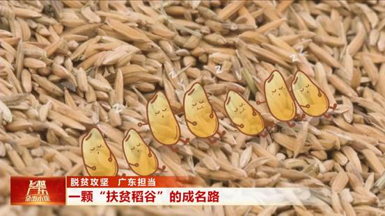 Copy_C 一颗“扶贫稻谷”的成名路_2020-12-14_15-52-59