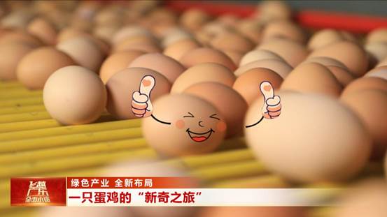 Copy_F一只蛋鸡的“新奇之旅”_2020-12-14_15-56-58