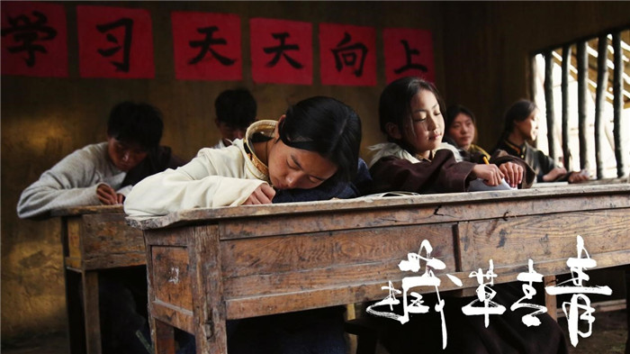 电影《藏草青青》11月5日上线 献礼脱贫攻坚伟大成就