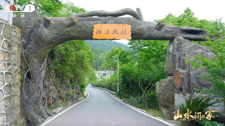 撒贝宁、朱广权带队《山水间的家》解锁和美乡村蝶变密码