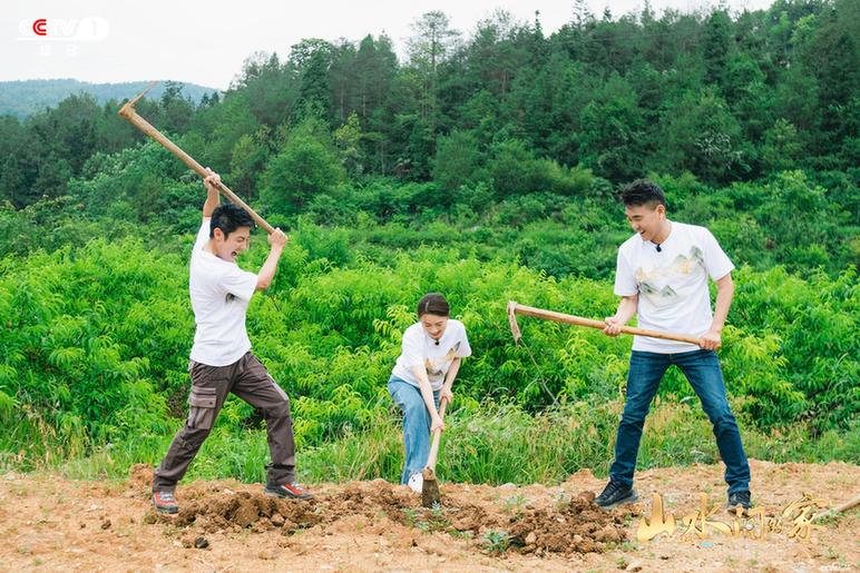 撒贝宁、朱广权带队《山水间的家》解锁和美乡村蝶变密码