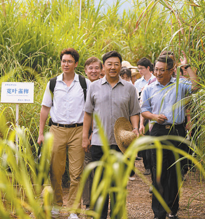 《山海情》拍得细微细腻，《幸福草》也力图做到小切口，用细节呈现真实。