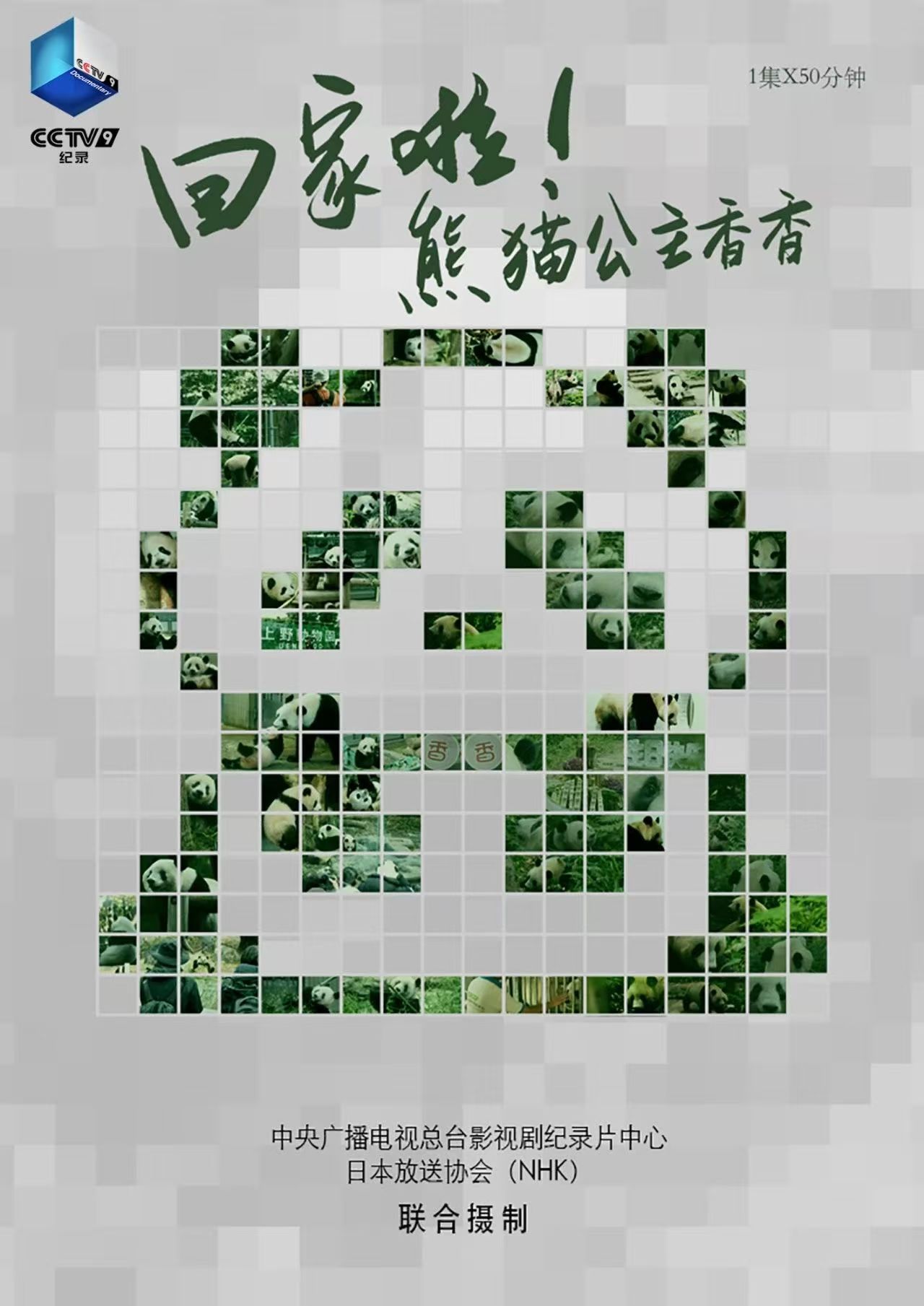 央视剧评｜“最中国”的故事讲述 “最国际”的传播回响