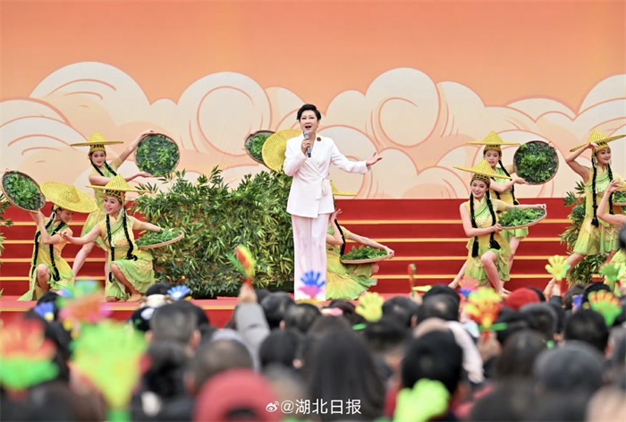 张凯丽刷屏春节档!9台晚会12个节目全能驾驭