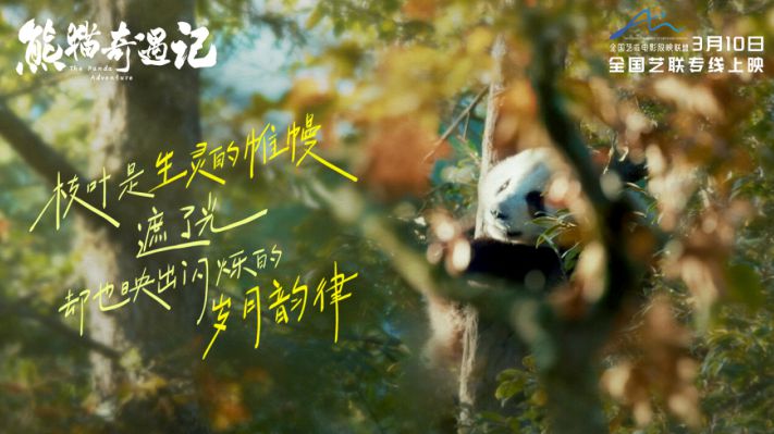 纪实电影《熊猫奇遇记》暖心定档,3月10日解锁国宝全生命周期密码 纪实电影《熊猫奇遇记》暖心定档,3月10日解锁国宝全生命周期密码