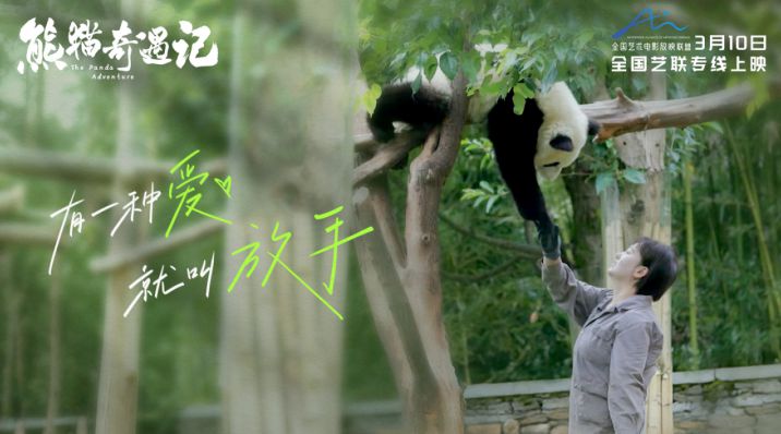 纪实电影《熊猫奇遇记》暖心定档,3月10日解锁国宝全生命周期密码 纪实电影《熊猫奇遇记》暖心定档,3月10日解锁国宝全生命周期密码