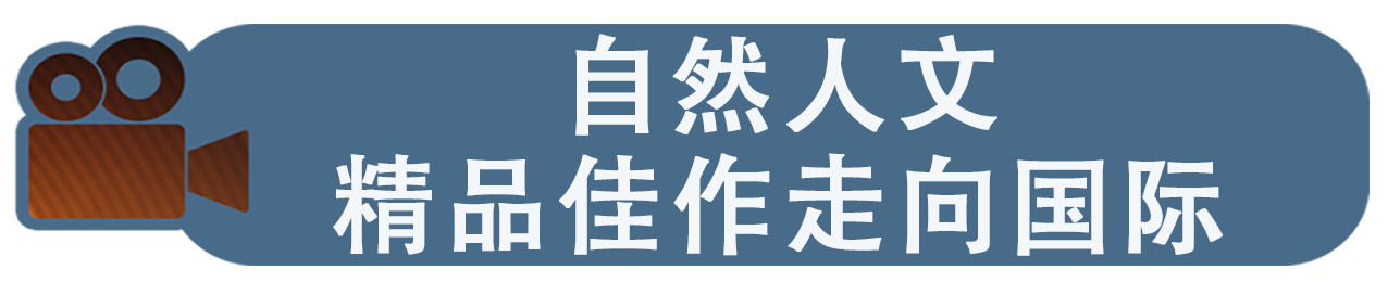 央视剧评｜“最中国”的故事讲述 “最国际”的传播回响